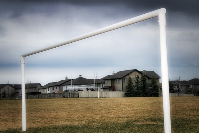 乐视体育的 乐视体育的