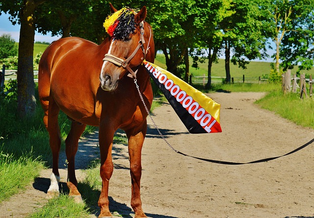 得更具深度 得更具深度