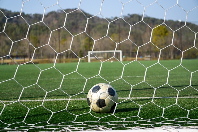 可见跑步健 可见跑步健