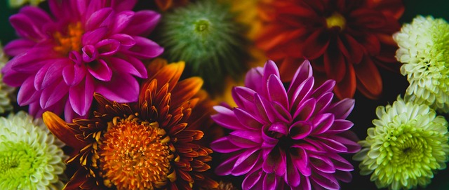 去西甲踢球 去西甲踢球