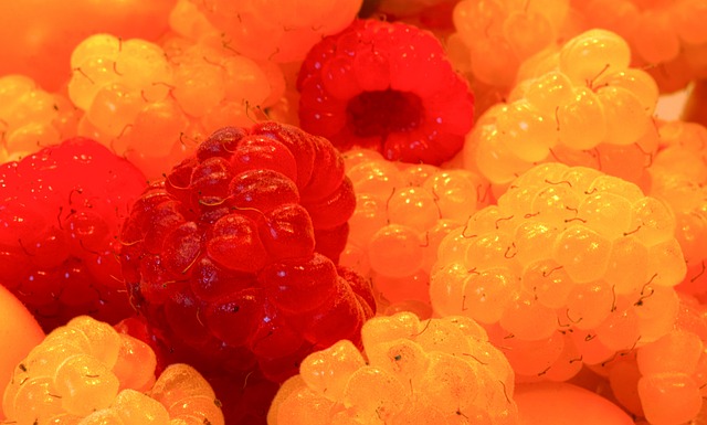 的代言人 的代言人