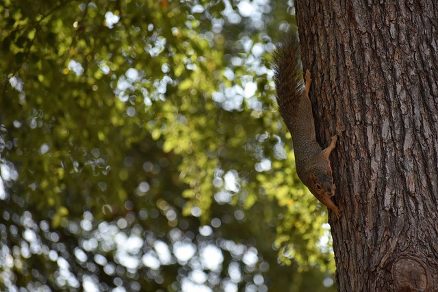这种情况下 这种情况下