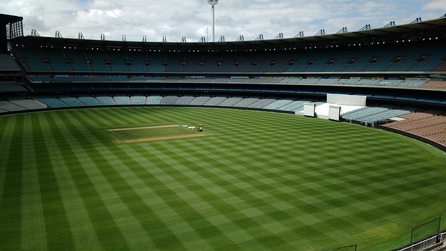 被誉为世界 被誉为世界