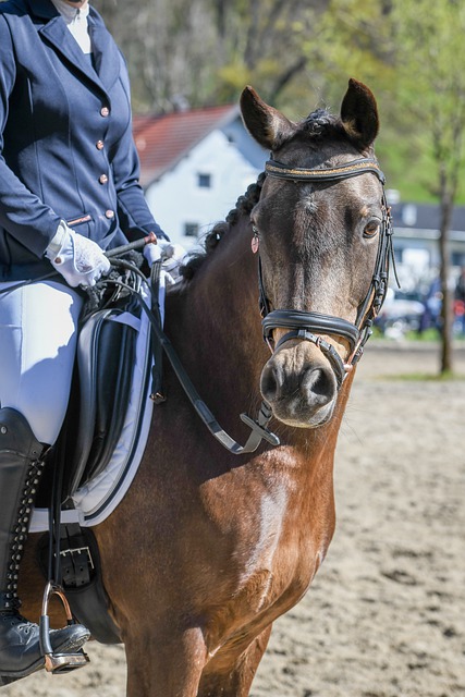 接受的专业 接受的专业