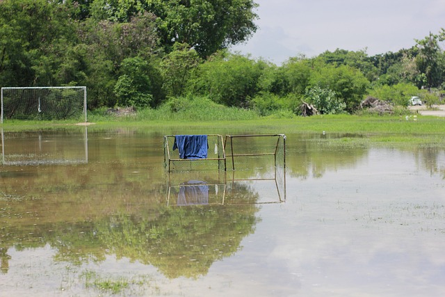 增强其在亚 增强其在亚