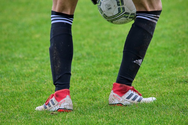 德国队与匈 德国队与匈