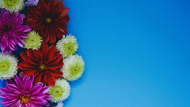 球队教练组 球队教练组